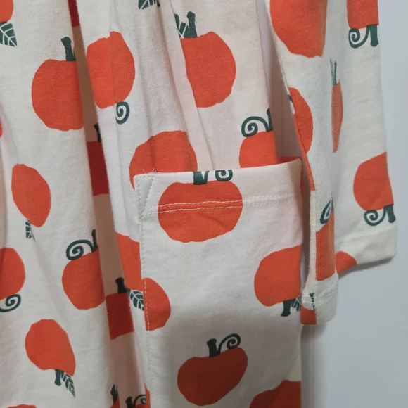 Hanna Andersson Cream and Orange Pumpkin Print Dress - Picture 3 of 4